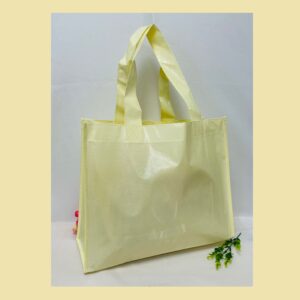 WZA-030 NON WOVEN LAMINATED BAG